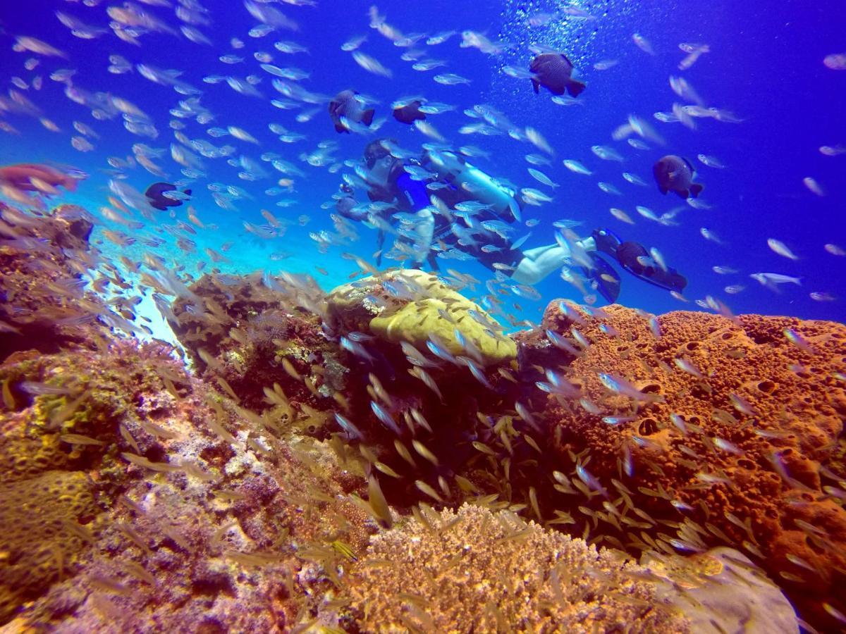 Anema Wellness & Resort Gili Lombok - Diving Center Padi Tanjung  Eksteriør bilde