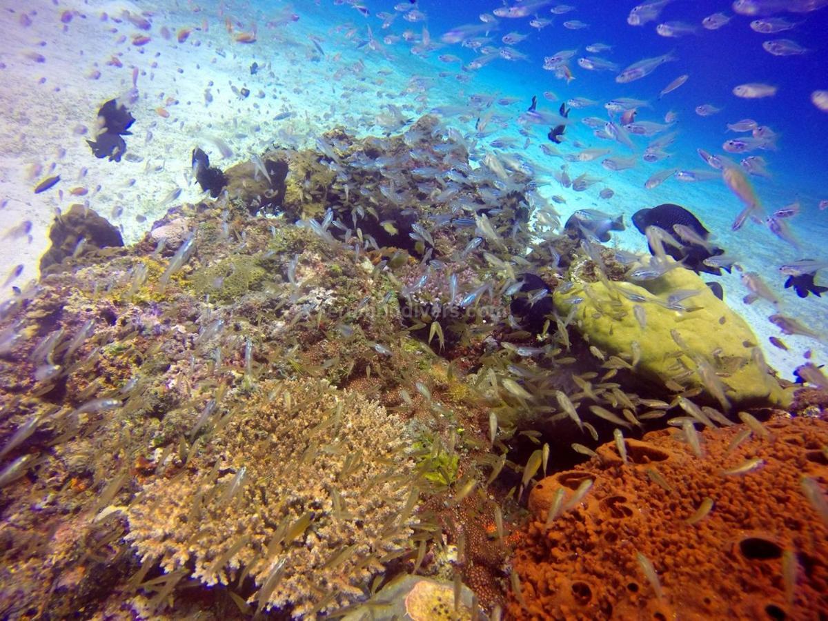 Anema Wellness & Resort Gili Lombok - Diving Center Padi Tanjung  Eksteriør bilde